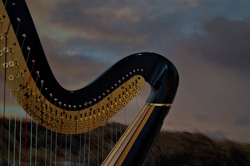 Forest Harp Tunes